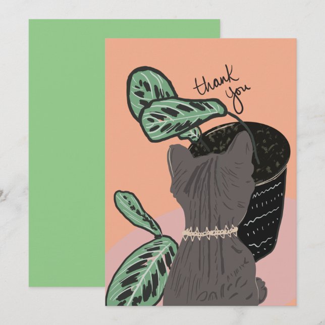 Plantas de observación de gatos gracias postal (Anverso / Reverso)