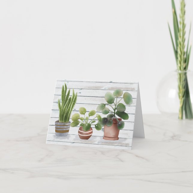 Plantas de posada Pilea y Snake Blank (Anverso)