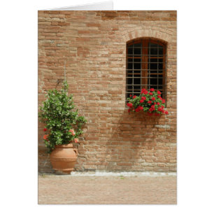 Plantas de tiesto de Toscana