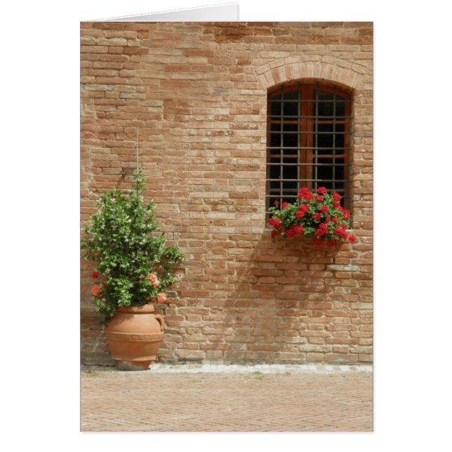 Plantas de tiesto de Toscana (Frente)