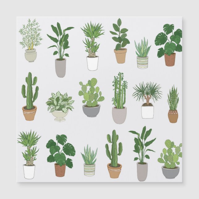 Plantas domésticas, patrón de doodle vintage (Anverso)