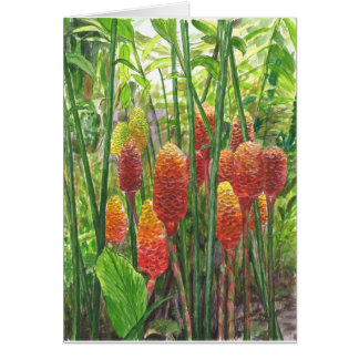 Plantas hawaianas del jengibre