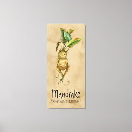 Plantas mágicas Mandrake 2 lienzo de 20,24'' x 45,