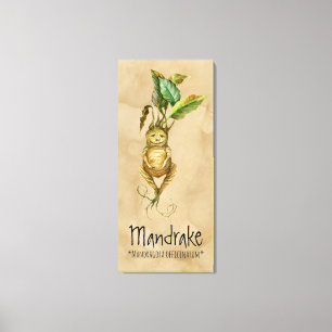 Plantas mágicas Mandrake 2 lienzo de 20,24'' x 45,