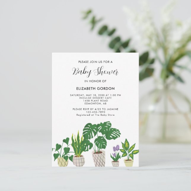 Plantas Potadas Invitación a la vegetación de flor (Anverso de pie)
