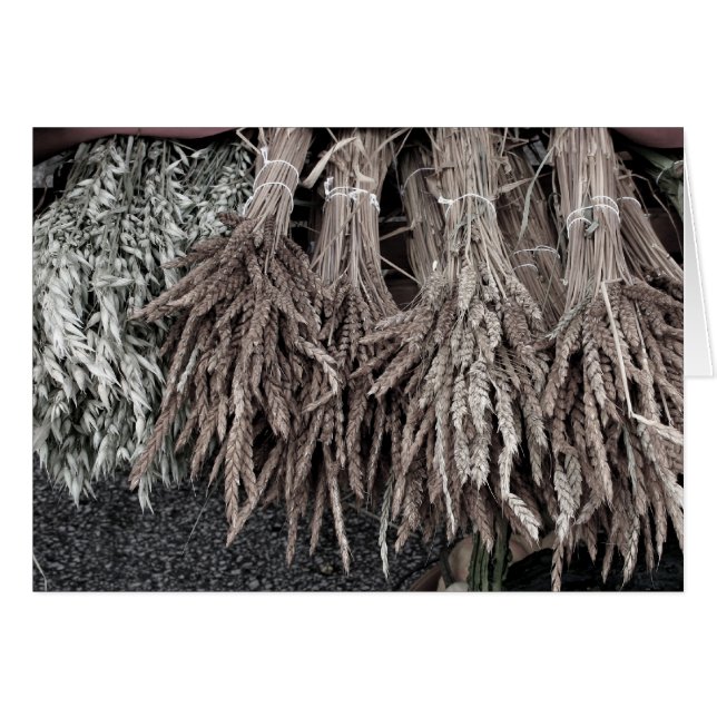 Plantas secas para decorar (Anverso (Horizontal))