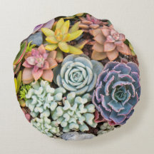 Plantas Suculentas De Colores Pastel Almohada redo