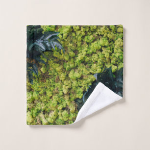 Plantas verdes arboladas
