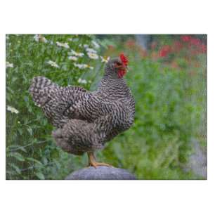 Planteamiento de la tabla de cortar del pollo
