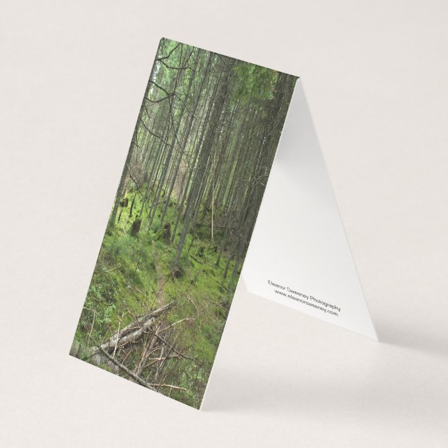 Plantilla (Anverso)