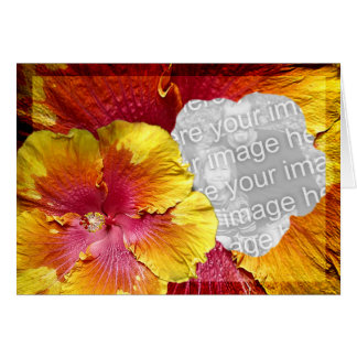 Plantilla 1 del hibisco