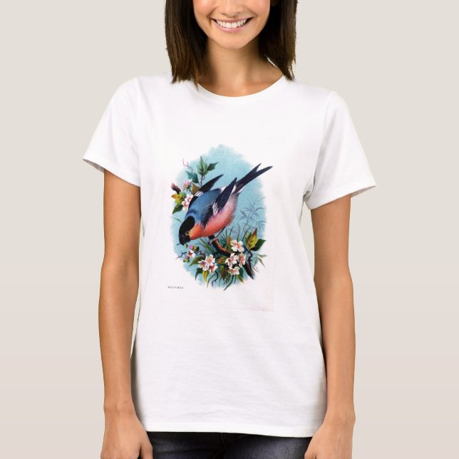 Plantilla básica de la camiseta de las señoras - (Anverso)