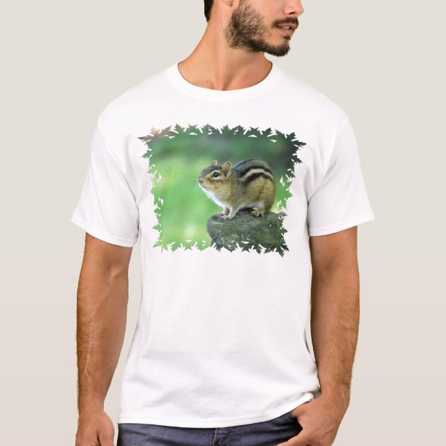 Plantilla básica de la camiseta - modificada para (Anverso)