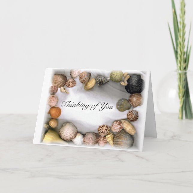 Plantilla bordeada de shell de mar (Anverso)