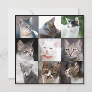 Plantilla CATS - cambiar foto