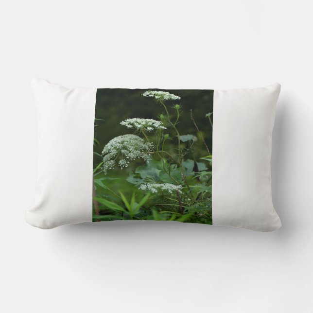 plantilla de almohada lumbar (Anverso)