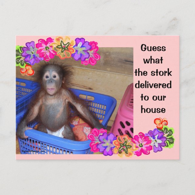 plantilla de anuncio de nacimiento (Anverso)