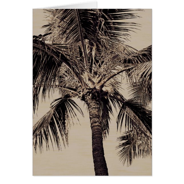 Plantilla de árbol de palmas de estilo hawaiano vi (Frente)