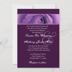 Plantilla de Boda Rosa morado suave H438