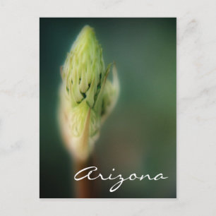 Plantilla de borde de primavera de postales de Ari