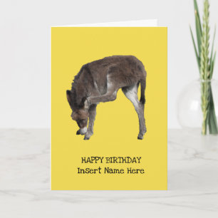 Plantilla de burro pequeño y lindo rascándose la o