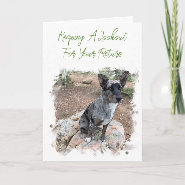 Plantilla de Cattle Dog Ausente para Foto (Anverso)
