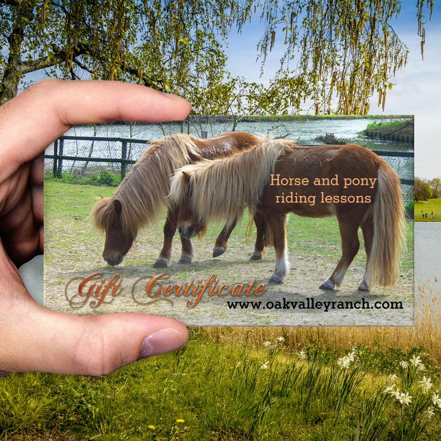Plantilla de certificado de regalo de lecciones de (Gift certificate template for horse or pony riding lessons - equestrian - equine)