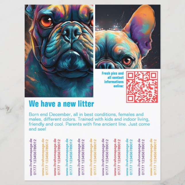 plantilla de código QR colorido para arrancar (Anverso)