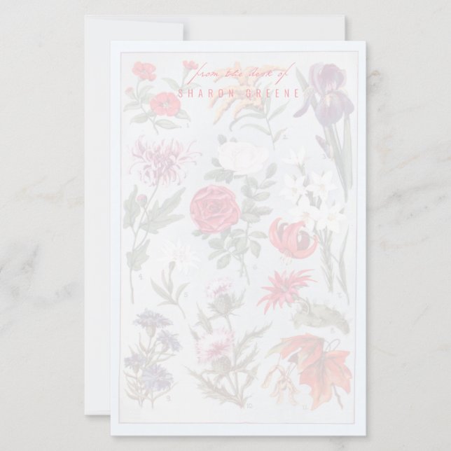 Plantilla de creación de estadísticas personalizad (Anverso)