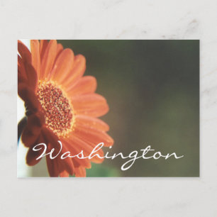 Plantilla de flor de Naranja de postales de Washin