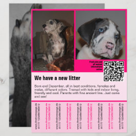 plantilla de folleto de cachorros en venta con cód
