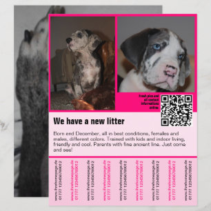 plantilla de folleto de cachorros en venta con cód