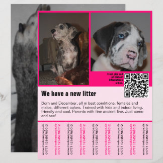 plantilla de folleto de cachorros en venta con cód