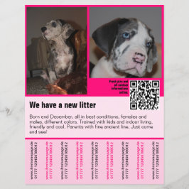 plantilla de folleto de cachorros en venta con cód