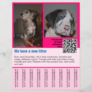 plantilla de folleto de cachorros en venta con cód