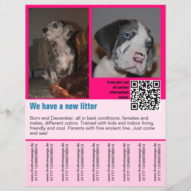 plantilla de folleto de cachorros en venta con cód (Frente)