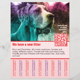 plantilla de folleto de código QR para cachorros e