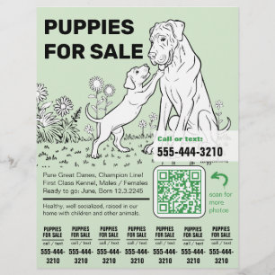 Plantilla de Folleto para Vender Cachorros