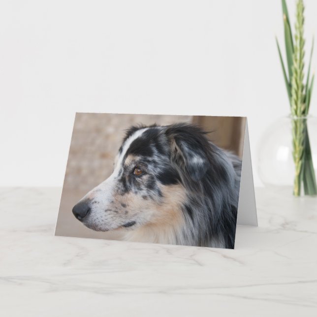 Plantilla de foto de Australian Shepherd que te ha (Anverso)