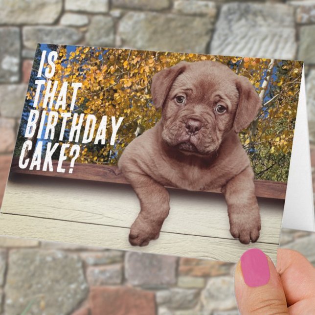Plantilla de foto de cachorro marrón lindo cumplea (Subido por el creador)