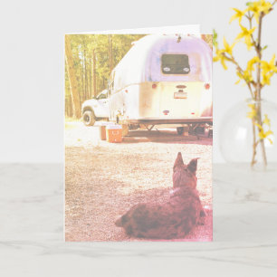 Plantilla de foto de perro campista pensando en ti