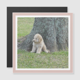 Plantilla de foto personalizada moderna rosa para
