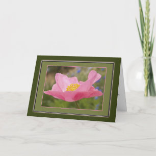 Plantilla de fotografía con amapola rosa de agrade