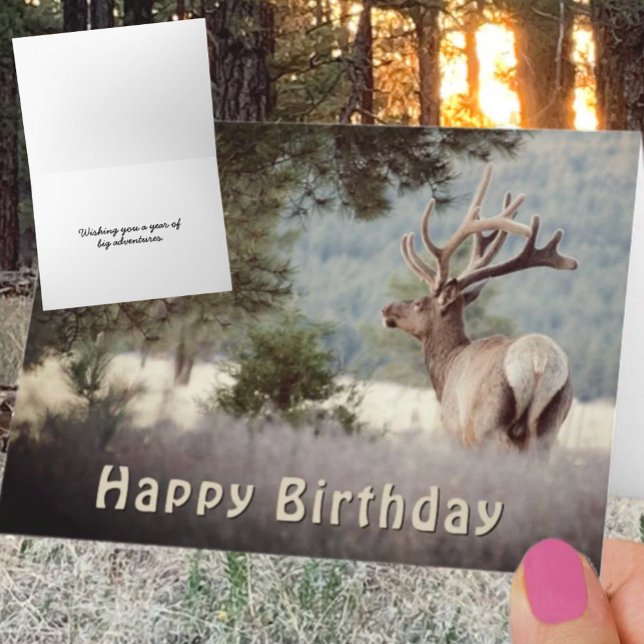 Plantilla de fotografía de alce toro en cumpleaños (Bull elk photograph greeting card cover with front and inside template text. )
