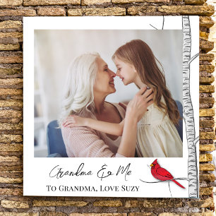 Plantilla de fotografía de familia de cardenales r