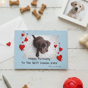 Plantilla de fotografía de mascota Tarjeta de Pers