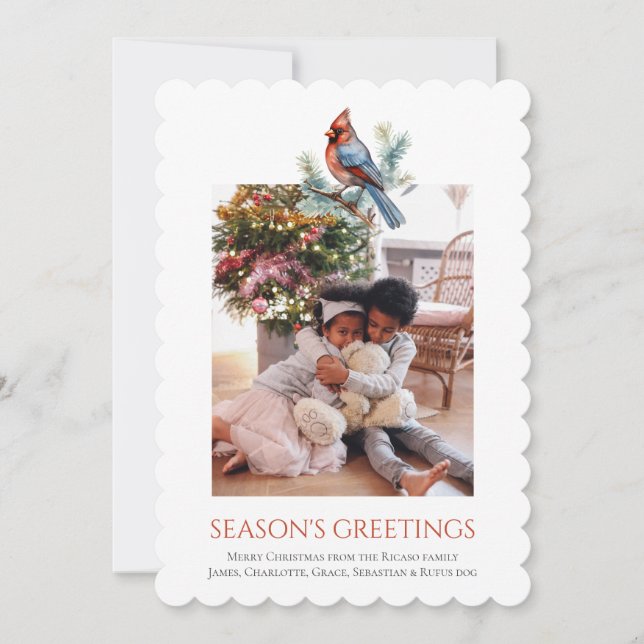 Plantilla de fotografía de pájaro del cardenal nav (Anverso)