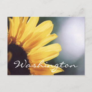 Plantilla de girasol de postal de Washington