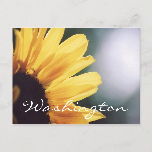 Plantilla de girasol de postal de Washington (Anverso)