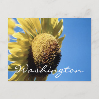 Plantilla de girasol de postal de Washington